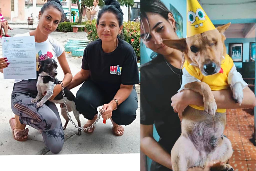 Grupo de Seguimiento